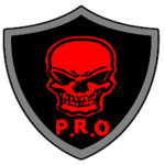 Professional Recon Organization