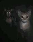rawraaXD
