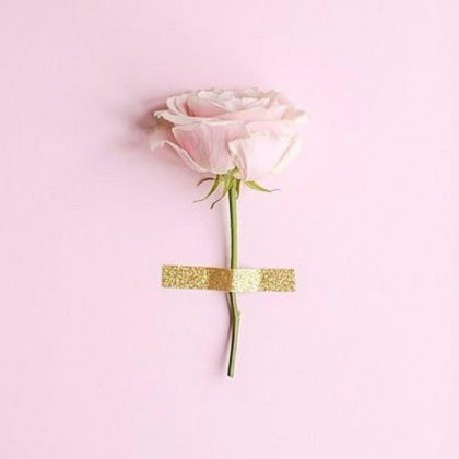 Pink Rose Roblox decal