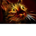 Fiery Cats