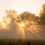 - Sol’s Sunbeams -