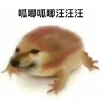 貓貓&狗勾軍團:D