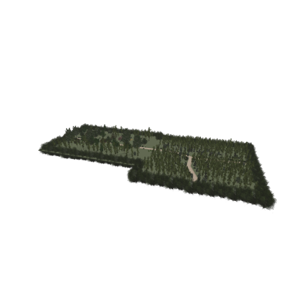 Big Forest Map backup