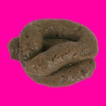 POOP WITH FRIENDS! 💩