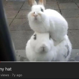 bunbun