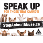 stop animal abuse!!!!!
