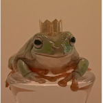 ~floopyfrogs~:)