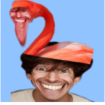 The flamingo fan club use star code flamingo NOW!