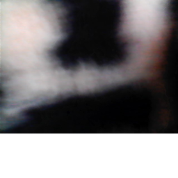 Ghost RP