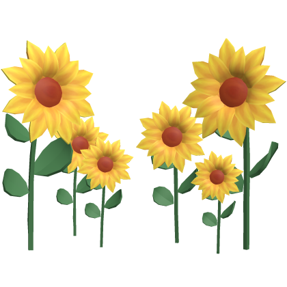 Sunflower Garden