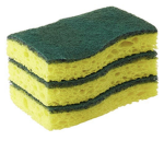 MY SPONGE BOIS