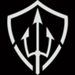 Trident Professional Security
