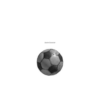 StarterCharacter ball