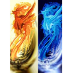 Night Phoenix's