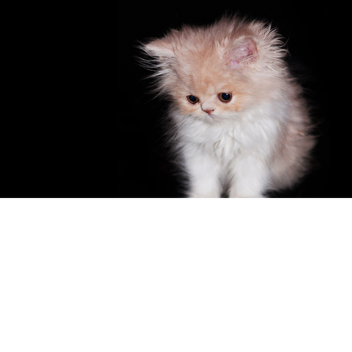 Russian military enlistment office