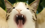 Its June! yay thats epic