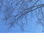 Slendergroupandnoobs