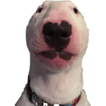 Walter is my best friend