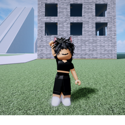 Ragdoll but it is high quality and you have admin