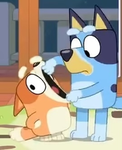 Bluey_weezer