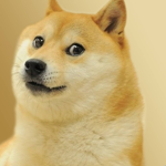 doge. army.