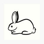 La team Lapin