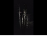 Siren Head's Cult (Sirenism)