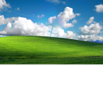 average windows xp enjoyers