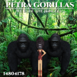 Petra Gorillas ও