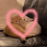 kittenhouse
