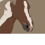 Starsunshinestables