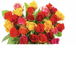 Flowers forever gang