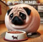 Gerdroid's unknown community