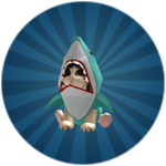 You found the Shark cat!
