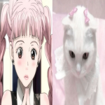 n o t h i ng