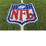 N.F.L  P.L.A.Y.E.R.S