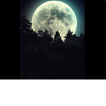 Come join my group please for robux