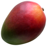MangosTango