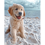Adopt Trading Group!!