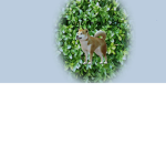 filipendos _1 group