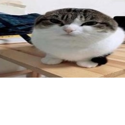 Untitled House Gaem