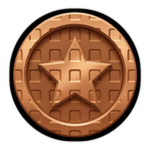 Bronze Medal