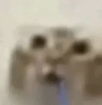 Mik1ta