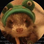 grupo vanesa_1632