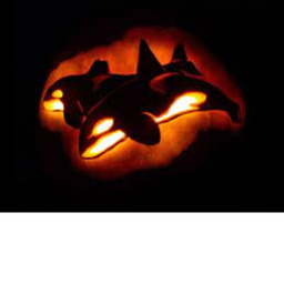 .: Halloween Stadium :.