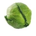 cabbage cult