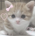 ۶ৎ dωσℓℓу’ѕ biσ mαkin’
