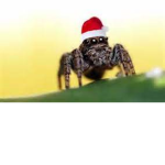 SPooder's Clothing