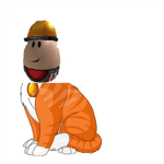 builderman cat