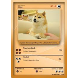 The castle of the DOGE!!! [UPDATED]